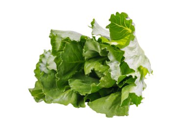 Taze yeşil ramen salatası, beyaz arka planda marul. Temiz ve sağlıklı sebzeler diyet, yemek, organik yemekler ve besin maddeleri için mükemmeldir.