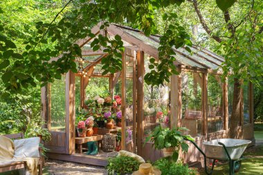 Büyüleyici ahşap seralar çiçek açan ortancalar ve canlı yeşil bitkiler, yaz yapraklarıyla çevrili, arka bahçenin arka bahçesindeki sicim lambalarının altında. Bitki yetiştirme, bahçıvanlık hobisi