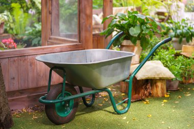 Parlak güneşli bir günde yeşil bahçedeki yemyeşil bitkilerle çevrili, ahşap sera arka planında duran yeşil metal el arabası. Açık hava bahçe aletleri, bitki yetiştirme..