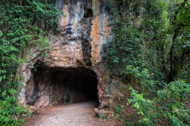 Tasik Cermin 'e veya Mirror Lake' e giden mağara tüneli, Ipoh, Malezya - Tasik Cermin, veya Mirror Lake, kireçtaşı karst kuleleriyle çevrili çarpıcı gizli bir göl. Malezya 'nın Perak eyaleti Ipoh kasabası yakınlarında yer almaktadır..