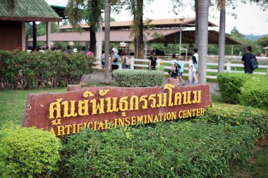 Chokchai Çiftliği, Khao Yai, Tayland 'daki muhteşem manzara. Chokchai Çiftliği Asya 'daki en büyük mandıra çiftliğidir. Bu çiftlik ünlü bir tarım turistik merkezidir..