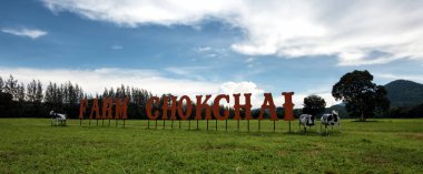 Chokchai Çiftliği, Khao Yai, Tayland 'daki muhteşem manzara. - Chokchai Çiftliği Asya 'daki en büyük mandıra çiftliği. Bu çiftlik ünlü bir tarım turistik merkezidir..