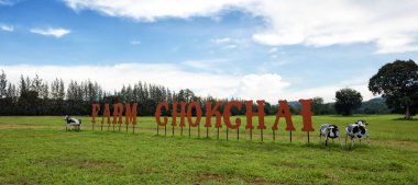 Chokchai Çiftliği, Khao Yai, Tayland 'daki muhteşem manzara. Chokchai Çiftliği Asya 'daki en büyük mandıra çiftliğidir. Bu çiftlik ünlü bir tarım turistik merkezidir..