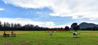 Chokchai Çiftliği, Khao Yai, Tayland 'daki muhteşem manzara. Chokchai Çiftliği Asya 'daki en büyük mandıra çiftliğidir. Bu çiftlik ünlü bir tarım turistik merkezidir..