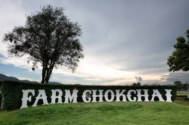 Chokchai Çiftliği, Khao Yai, Tayland 'daki muhteşem manzara. - Chokchai Çiftliği Asya 'daki en büyük mandıra çiftliği. Bu çiftlik ünlü bir tarım turistik merkezidir..
