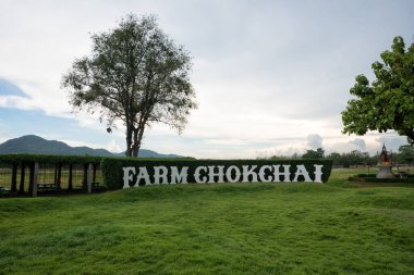 Chokchai Çiftliği, Khao Yai, Tayland 'daki muhteşem manzara. Chokchai Çiftliği Asya 'daki en büyük mandıra çiftliğidir. Bu çiftlik ünlü bir tarım turistik merkezidir..