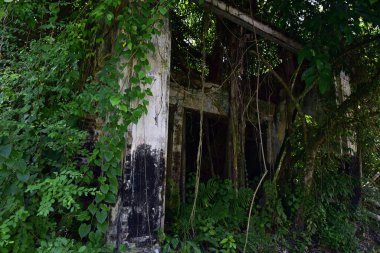 Pusing, Perak, Malezya 'nın kenar mahallelerindeki terk edilmiş teneke madencilik kasabası Papan' ın manzarası