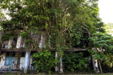 Pusing, Perak, Malezya 'nın kenar mahallelerindeki terk edilmiş teneke madencilik kasabası Papan' ın manzarası