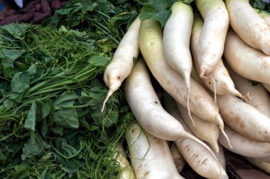 Market Stall 'daki Taze Beyaz Turp ve Yapraklı Yeşiller - Yapraklı yeşil sebzelerin yanında sergilenen taze beyaz turpların (daikon) yakın plan bir görüntüsü