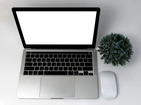 ノートパソコンの空白の画面と白い背景のマウス — ストック写真
