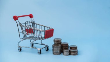 Finansal Planlama Para Yönetimi ve Alışveriş. Arka planda alışveriş arabası ve bozuk para var..