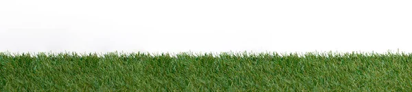 Groen Grasveld Geïsoleerd Witte Achtergrond Horizontale Natuur Thema Poster Wenskaarten — Stockfoto