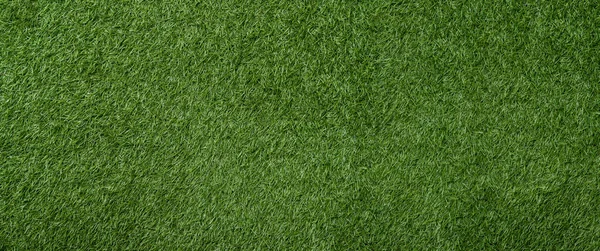 自然の緑の草の背景 水平創造的なテーマのポスター グリーティングカード ヘッダー ウェブサイトとアプリ — ストック写真