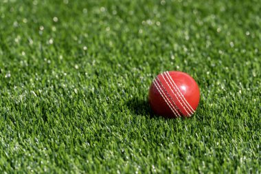 Yeşil çimlerde doğal ışıklandırmalı kriket kırmızı topu. Yatay spor temalı poster, tebrik kartları, başlıklar, web sitesi ve uygulama