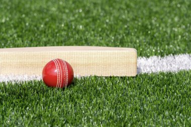 Yeşil çimlerde doğal ışıklandırmalı kriket sopası ve kırmızı top. Yatay spor temalı poster, tebrik kartları, başlıklar, web sitesi ve uygulama