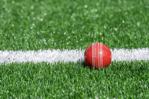 Yeşil çimlerde doğal ışıklandırmalı kriket kırmızı topu. Yatay spor temalı poster, tebrik kartları, başlıklar, web sitesi ve uygulama