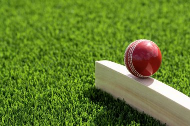 Yeşil çimlerde doğal ışıklandırmalı kriket sopası ve kırmızı top. Yatay spor temalı poster, tebrik kartları, başlıklar, web sitesi ve uygulama