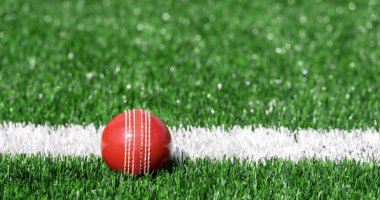 Yeşil çimlerde doğal ışıklandırmalı kriket kırmızı topu. Yatay spor temalı poster, tebrik kartları, başlıklar, web sitesi ve uygulama