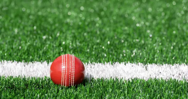 Yeşil çimlerde doğal ışıklandırmalı kriket kırmızı topu. Yatay spor temalı poster, tebrik kartları, başlıklar, web sitesi ve uygulama