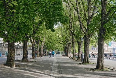 İsviçre 'nin Cenevre şehrinin eski kasaba çevresindeki manzara