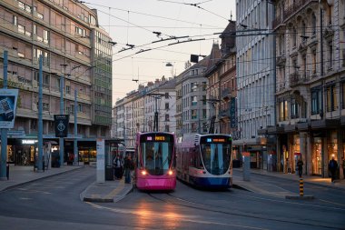 Cenevre şehri ve Cenevre Gölü manzarası