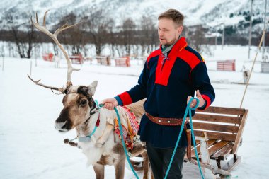 Tromso, Norveç - 10.2024 Nisan: Sami 'nin geleneksel giysileri içinde bir adam Tromso, Norveç' te karlı bir arazide bir ren geyiğinin yanında diz çöker.
