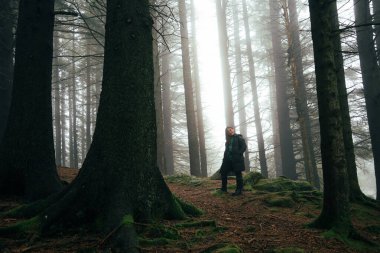 Atmosferik orman sahneleri Bergen 'deki Floyen Dağı' nda çekildi.