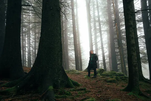 Atmosferik orman sahneleri Bergen 'deki Floyen Dağı' nda çekildi.