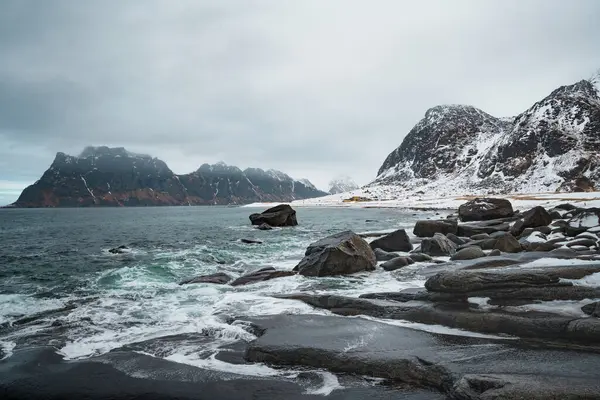 Norveç 'in Lofoten kentindeki Uttakleiv Sahili' nde engebeli kayalar, okyanus dalgaları ve karlı dağ arka planının yer aldığı dramatik kutup sahneleri.