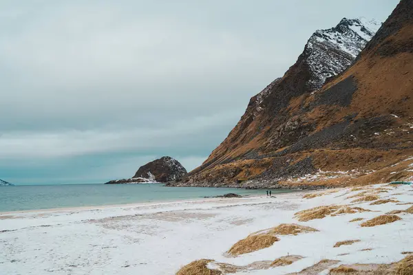 Norveç 'in Lofoten kentindeki Haukland plajında kış manzarası, karla kaplı tepeler, sakin deniz ve keşif yapan ziyaretçiler yer alıyor..