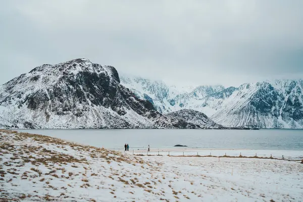 Norveç 'in Lofoten kentindeki Haukland plajında kış manzarası, karla kaplı tepeler, sakin deniz ve keşif yapan ziyaretçiler yer alıyor..