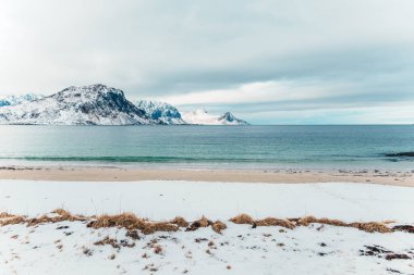 Karlı kıyı şeridi, turkuaz deniz ve bulutlu gökyüzü altında engebeli dağların yer aldığı Vik Sahili, Lofoten, Norveç 'teki huzurlu kış manzarası.