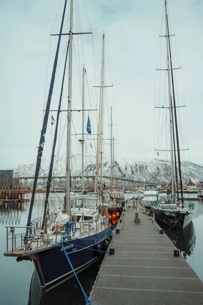 Tromso, Norveç - 10 Nisan 2024: Tromso, Norveç 'ten büyüleyici kış manzaraları, renkli liman binaları, botlar, karla kaplı dağlar ve manzaralı Arktik kıyısı manzaraları.