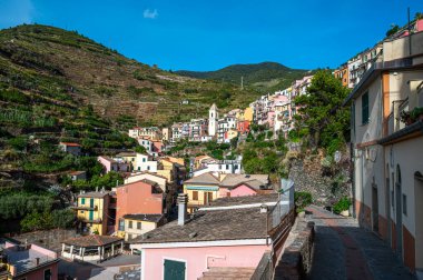 Çatılı renkli Manarola köyünün büyüleyici yamaç manzarası.