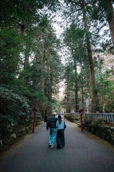 Hakone, Japonya - 9 Aralık 2023: Turistler Japonya 'daki Hakone Tapınağı' nın tarihi kırmızı binalarına giden huzurlu bir yol boyunca yüksek sedir ağaçlarının altında yürürler.