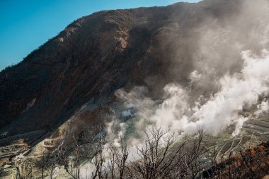 Hakone, Japonya 'da Owakudani' nin dramatik jeotermal manzarası, yükselen buhar bacaları, engebeli arazi ve manzaralı bir halat gezisi.