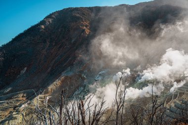 Hakone, Japonya 'da Owakudani' nin dramatik jeotermal manzarası, yükselen buhar bacaları, engebeli arazi ve manzaralı bir halat gezisi.