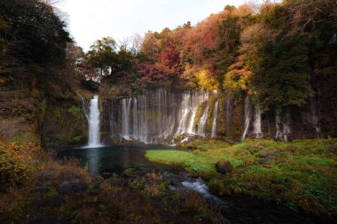 Fujinomiya, Japonya 'daki güzel Shiraito Şelalesi' nde, birden fazla su akıntısı yosunlu kayalıklardan aşağıya, aşağıdaki dingin bir havuza akıyor..