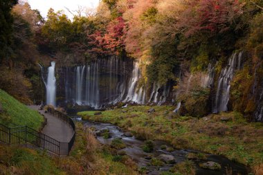 Fujinomiya, Japonya 'daki güzel Shiraito Şelalesi' nde, birden fazla su akıntısı yosunlu kayalıklardan aşağıya, aşağıdaki dingin bir havuza akıyor..