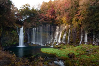 Fujinomiya, Japonya 'daki güzel Shiraito Şelalesi' nde, birden fazla su akıntısı yosunlu kayalıklardan aşağıya, aşağıdaki dingin bir havuza akıyor..