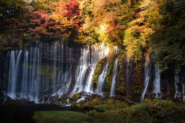Fujinomiya, Japonya 'daki güzel Shiraito Şelalesi' nde, birden fazla su akıntısı yosunlu kayalıklardan aşağıya, aşağıdaki dingin bir havuza akıyor..