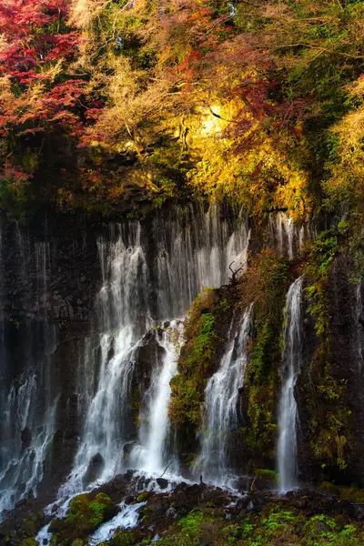 Fujinomiya, Japonya 'daki güzel Shiraito Şelalesi' nde, birden fazla su akıntısı yosunlu kayalıklardan aşağıya, aşağıdaki dingin bir havuza akıyor..