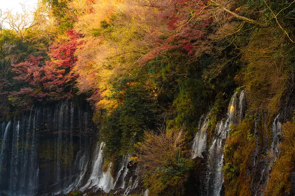 Fujinomiya, Japonya 'daki güzel Shiraito Şelalesi' nde, birden fazla su akıntısı yosunlu kayalıklardan aşağıya, aşağıdaki dingin bir havuza akıyor..