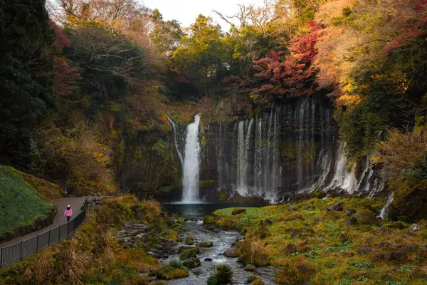 Fujinomiya, Japonya 'daki güzel Shiraito Şelalesi' nde, birden fazla su akıntısı yosunlu kayalıklardan aşağıya, aşağıdaki dingin bir havuza akıyor..