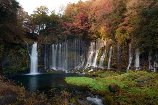 Fujinomiya, Japonya 'daki güzel Shiraito Şelalesi' nde, birden fazla su akıntısı yosunlu kayalıklardan aşağıya, aşağıdaki dingin bir havuza akıyor..
