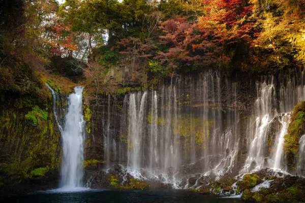 Fujinomiya, Japonya 'daki güzel Shiraito Şelalesi' nde, birden fazla su akıntısı yosunlu kayalıklardan aşağıya, aşağıdaki dingin bir havuza akıyor..