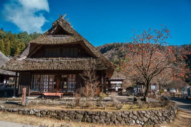 Saiko Iyashi no Sato Nenba 'daki dağlık arkaplanı olan sazdan çatılı köyde Japonya' nın geleneksel mimarisi ve kırsal kültürü sergileniyor..