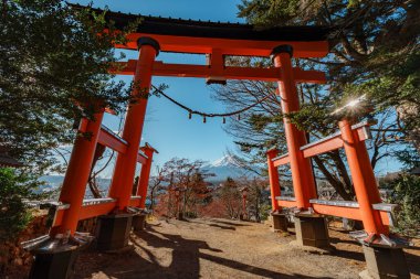 Canlı bir turuncu torii kapısı açık bir günde uzak, kar kaplı Fuji Dağı 'nı çerçeveler..