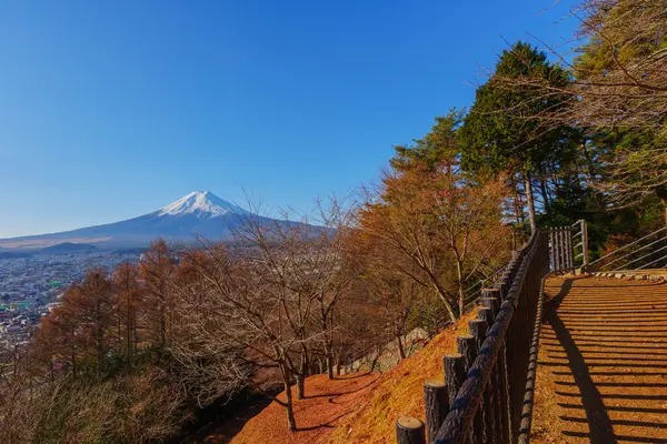 Bir dolambaçlı yol tapınak binasını geçerek ikonik Chureito Pagoda 'ya doğru gidiyor..