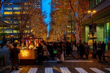 Tokyo, Japonya - 15 Aralık 2023: Tokyo 'daki güzel Marunouchi Caddesi Park Işıklandırması